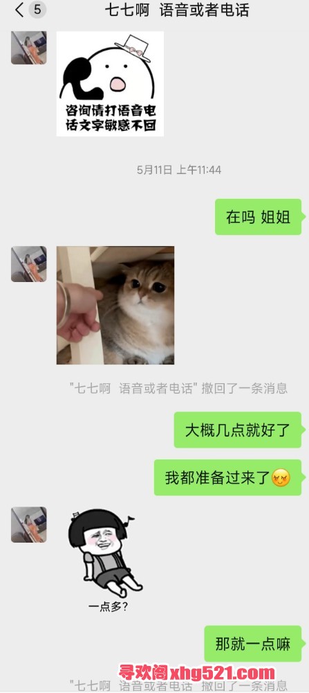 145808pqekp8exsqlquuzu.jpg