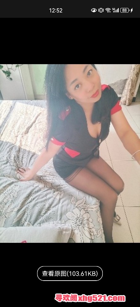 005502rltdk4aodlslzlly.jpg