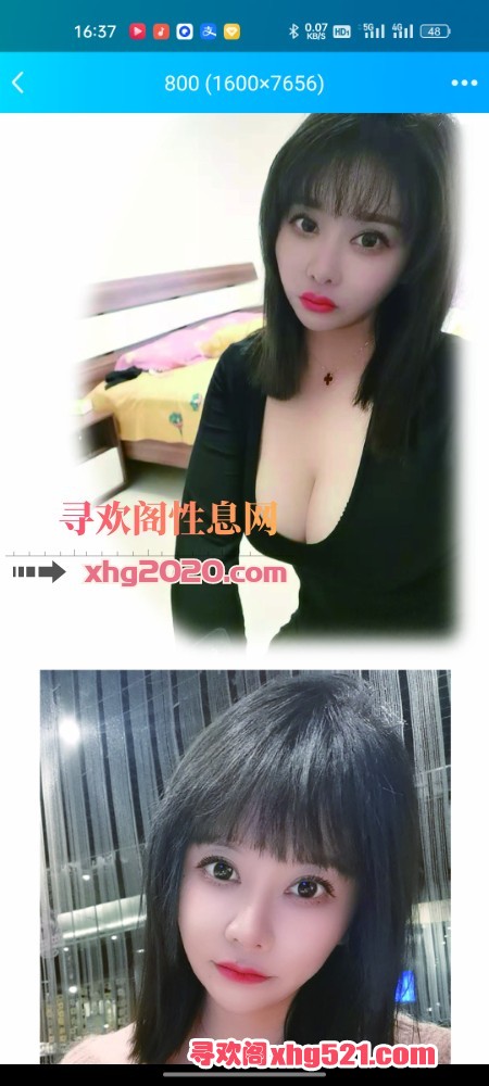 164336kbv88xco8bg3b8vv.jpg