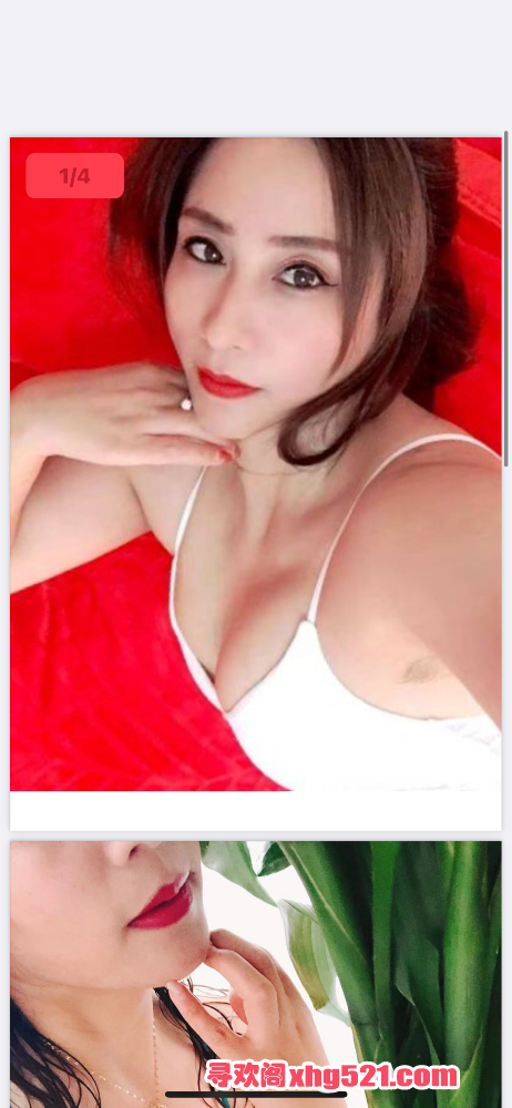 144631vvwuxr291gb4bxaw.png