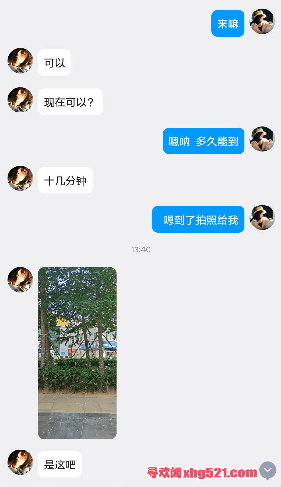 163228h44cmiteexd4teez.png